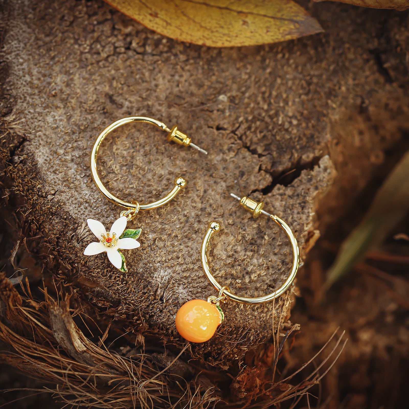 Hoop Earrings | Shop Hoop Earrings | Affordable Hoop Earrings | Hoop Earrings For Women | Selenichast