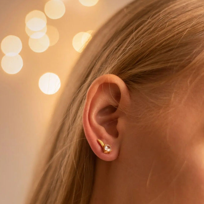 Shell Stud Dangling Earrings