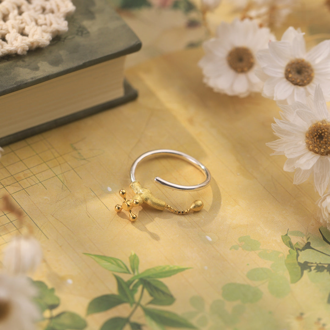 Faucet Ring