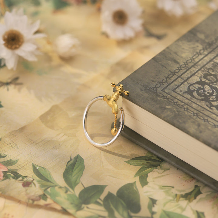 Faucet Ring