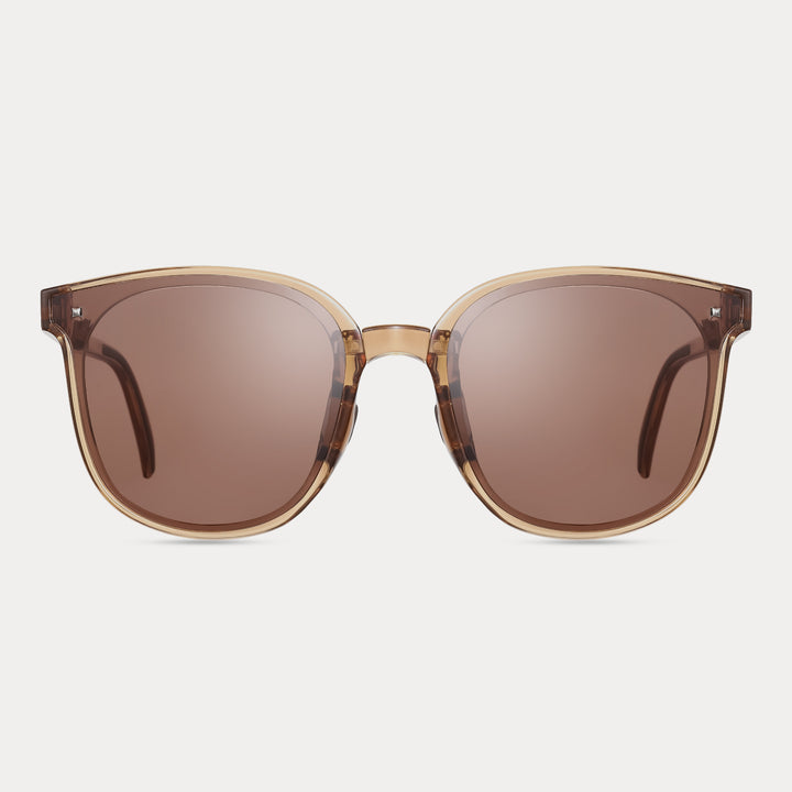 Brown Folding Wayfarer Sunglasses