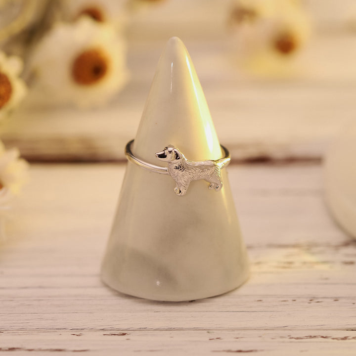 Golden Retriever Open Ring