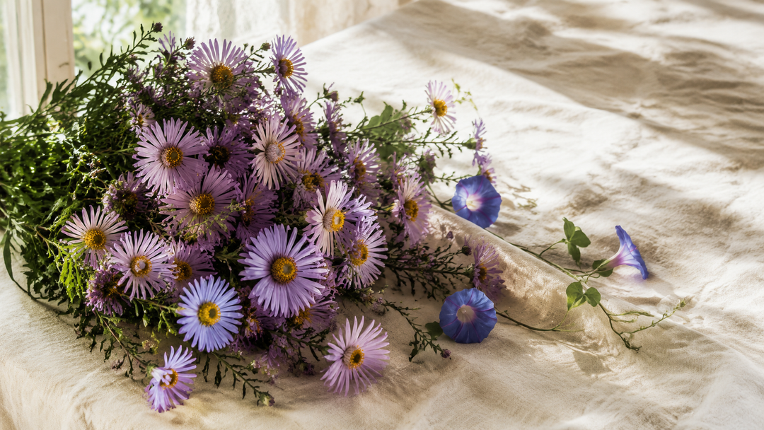 What Is September’s Birth Flower?