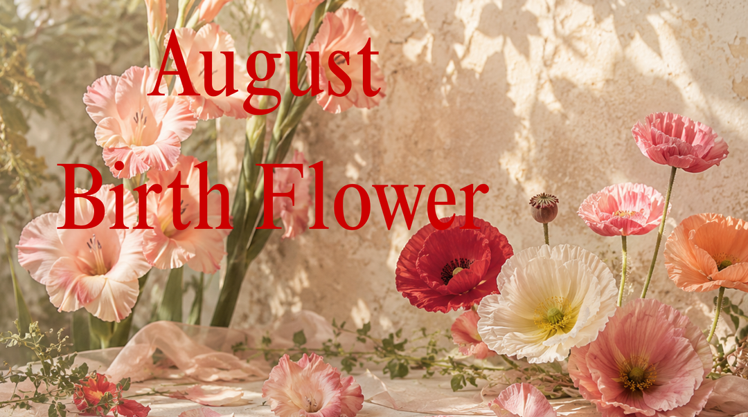 What Is the August Birth Flower? Gladiolus and Poppy Meaning