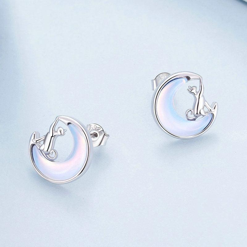 Orecchini per gatti, Orecchini per gatti, Borchie in argento sterling Orecchini per gatti, Orecchini per gatti, Borchie in argento sterling