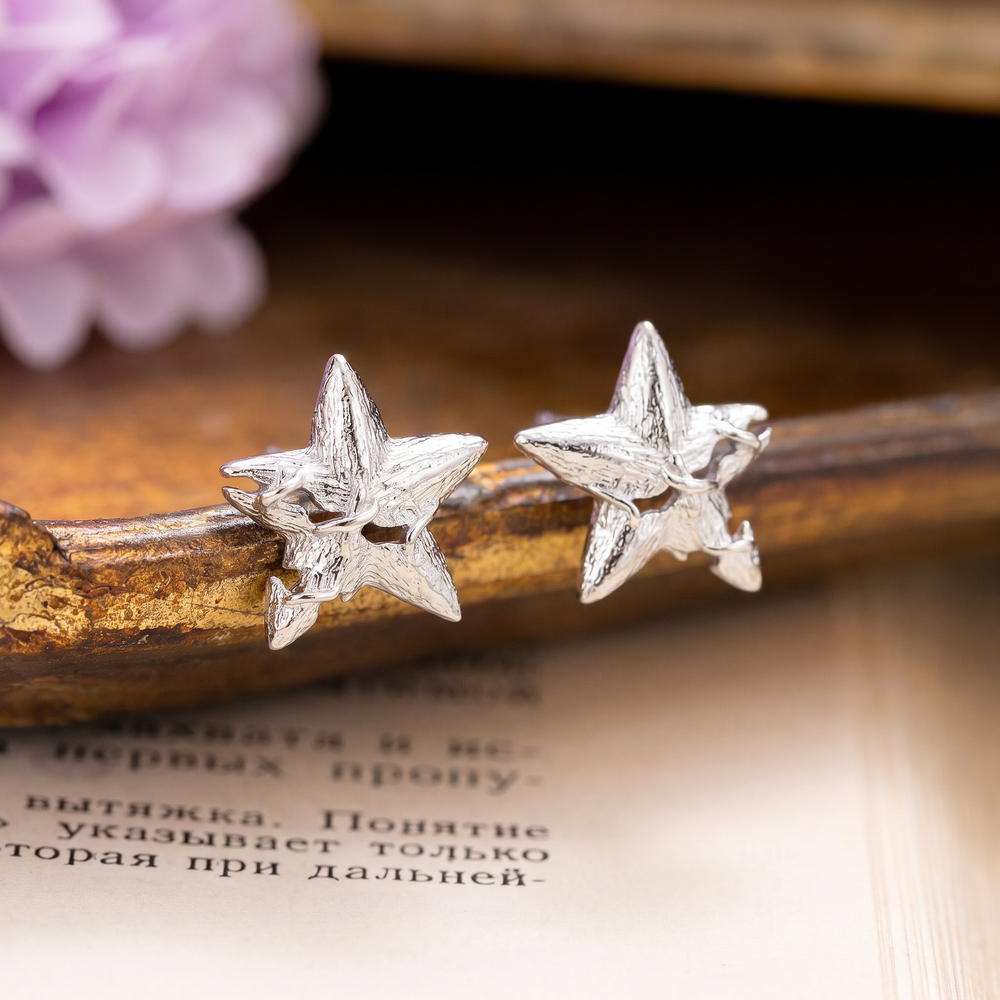Silver Star Stud Earrings Selenichast