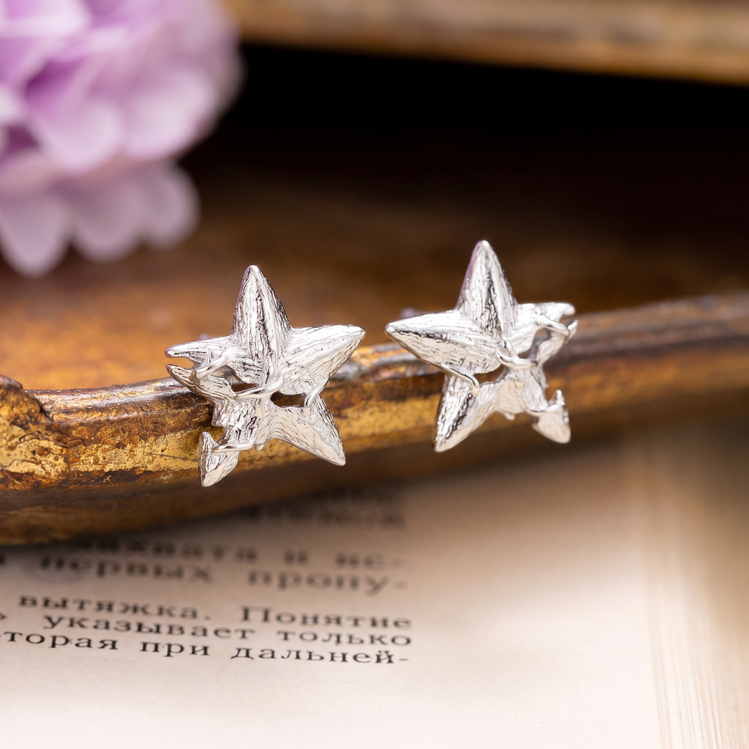 Silver Star Stud Earrings Selenichast