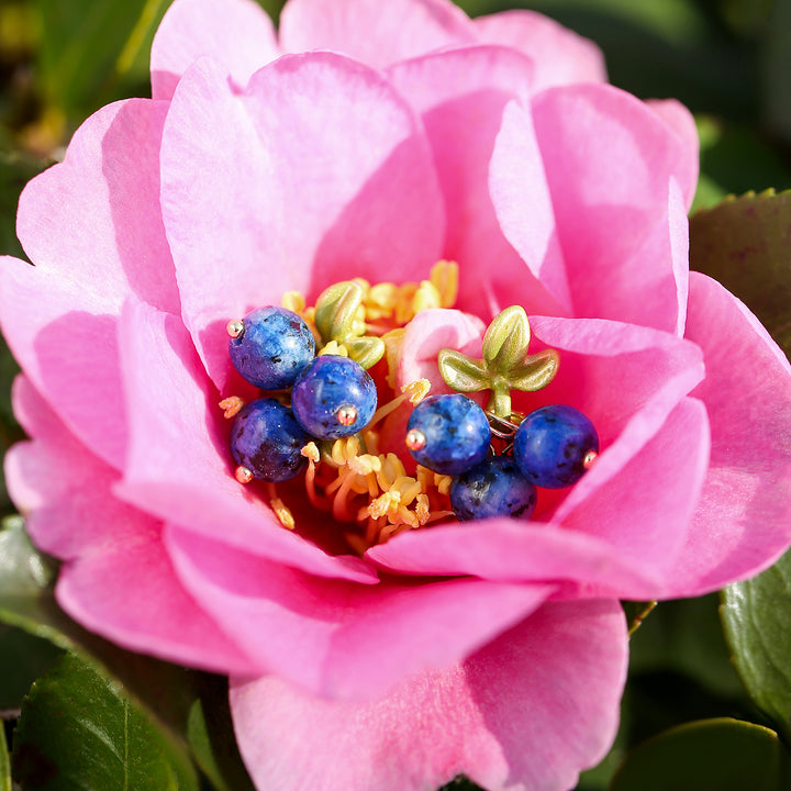 Blueberry Stud Earrings