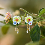 Daisy Earrings Spring Jewelry