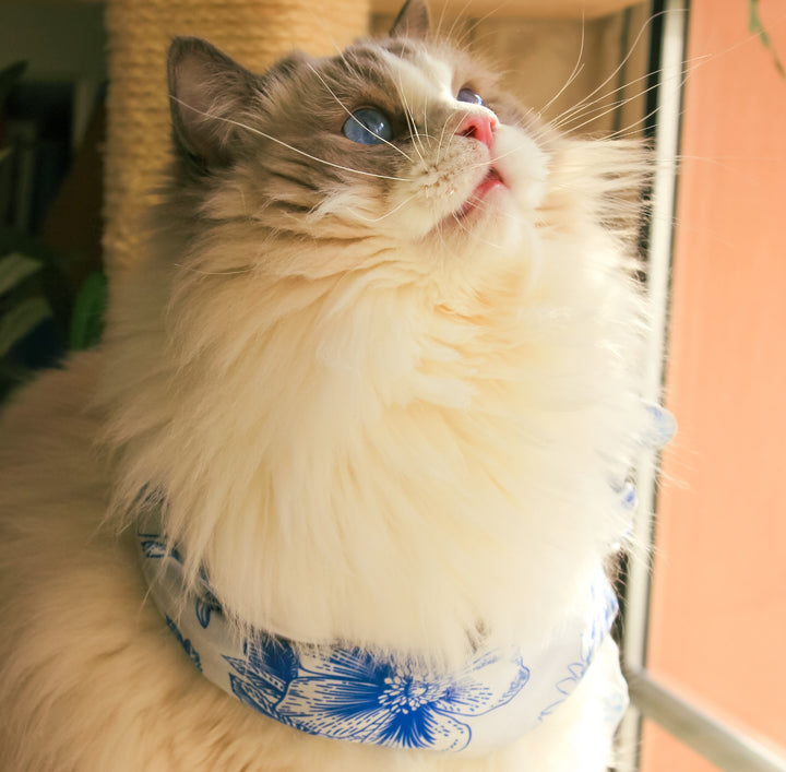 Rabbit Garden Square Scarf
