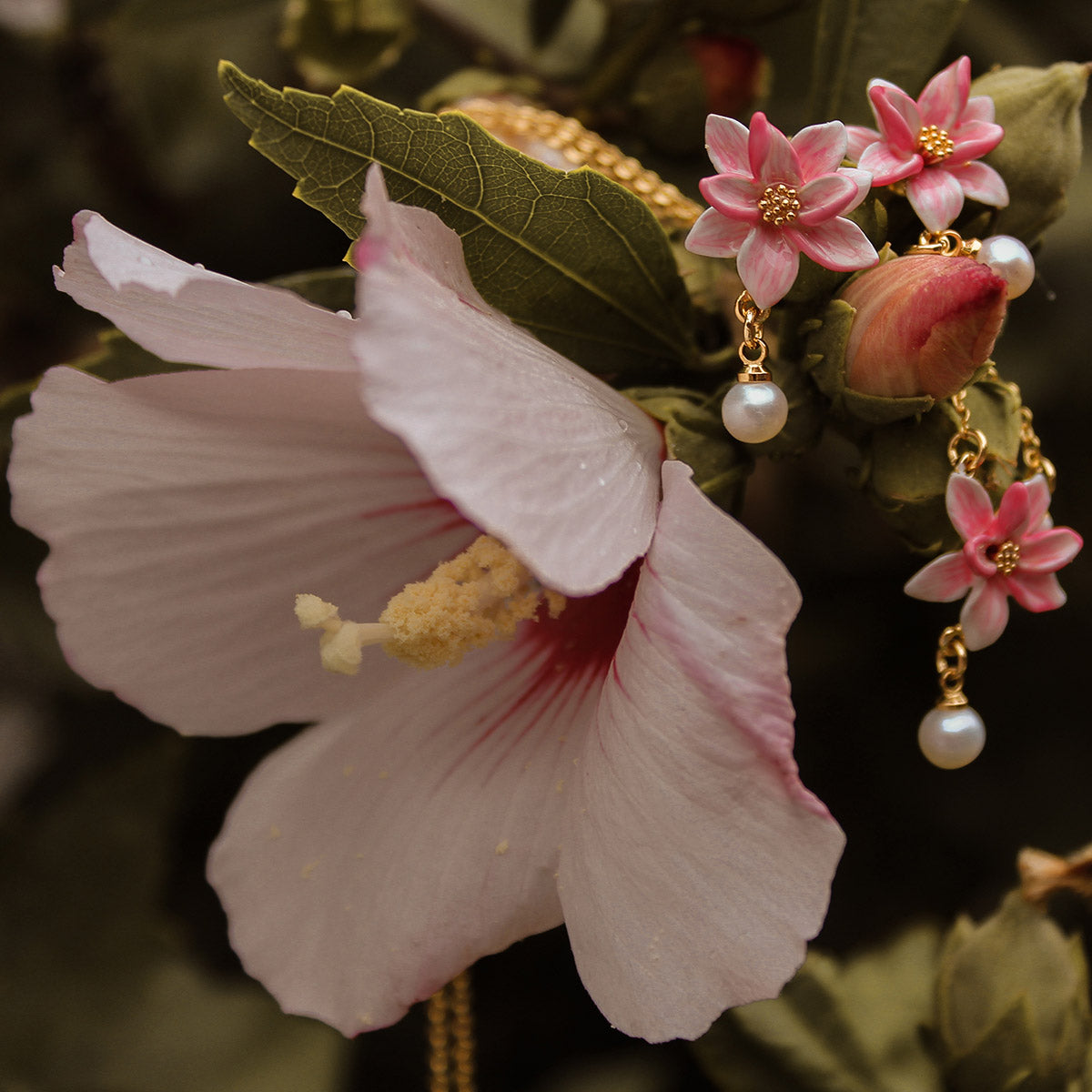 magnolia pearl earrings 