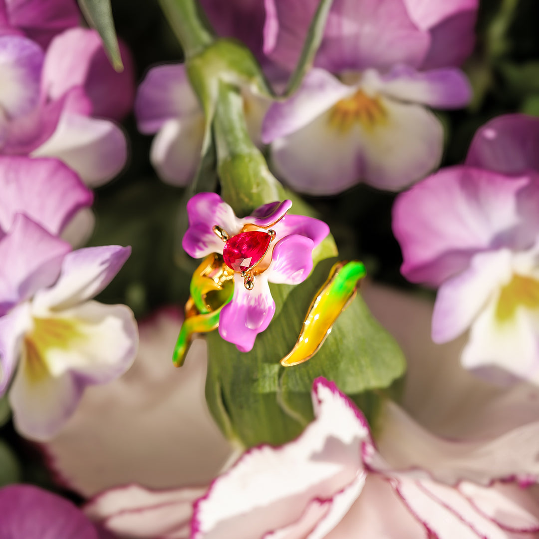 Iris Ring