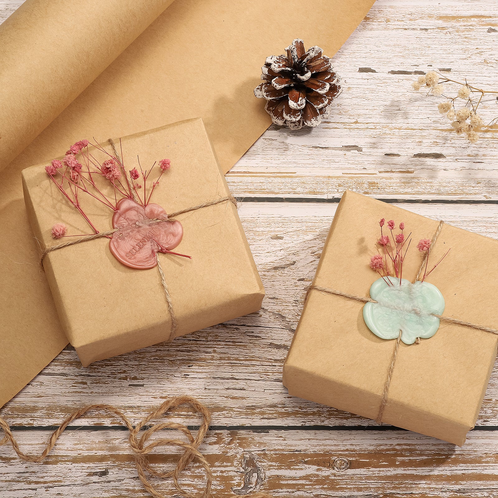 Phalaenopsis Gift Set with Kraft Gift Wrapping
