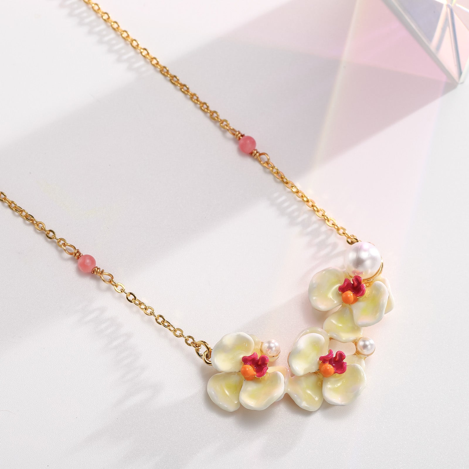 phalaenopsis pearl necklace