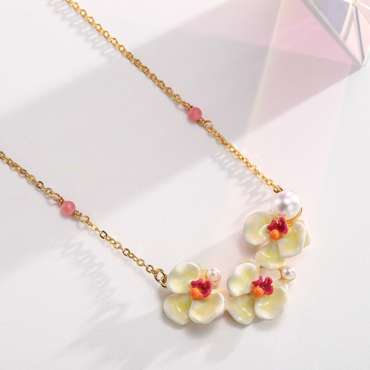 phalaenopsis pearl necklace